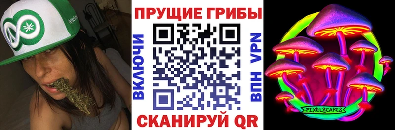 Псилоцибиновые грибы Cubensis  где купить наркоту  Владимир 