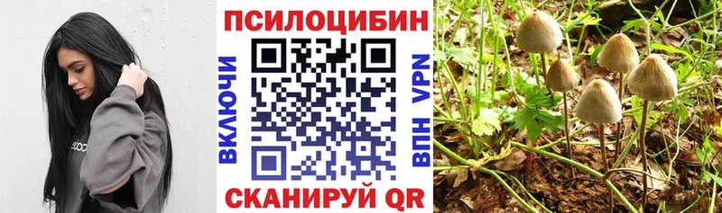 Псилоцибиновые грибы мицелий Владимир