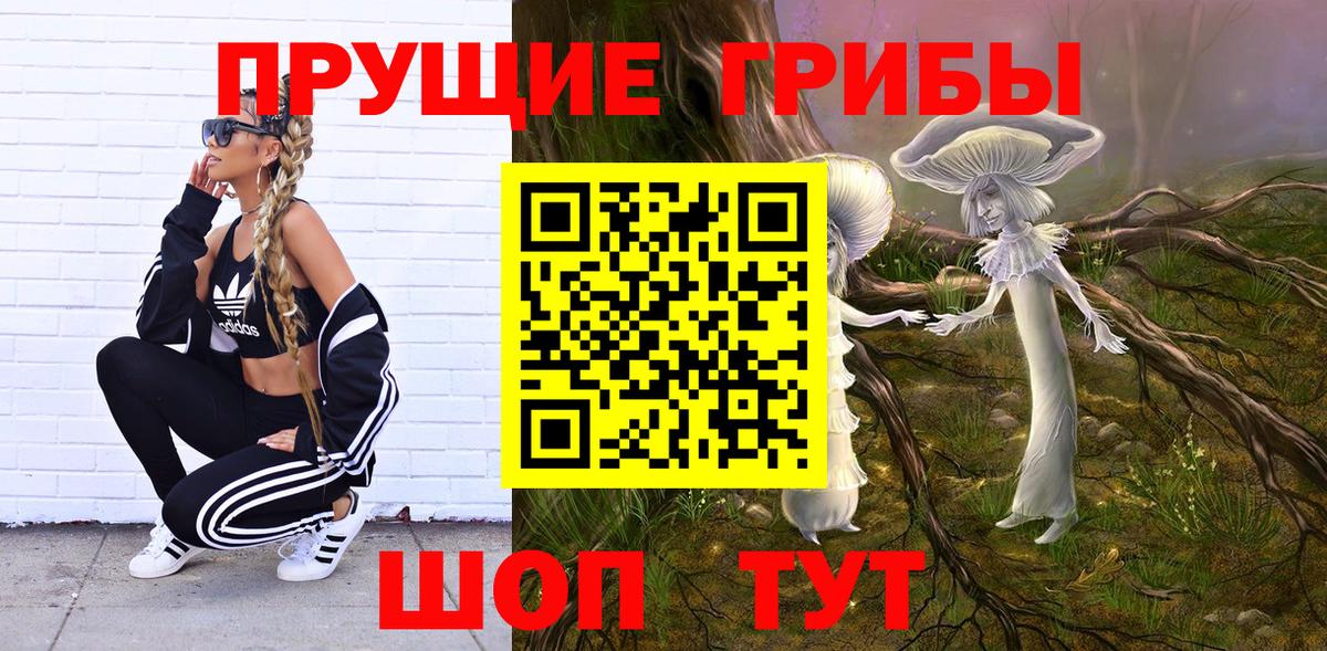 Псилоцибиновые грибы мицелий Владимир