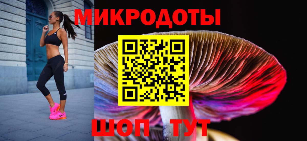 Псилоцибиновые грибы Psilocybine cubensis  Владимир 