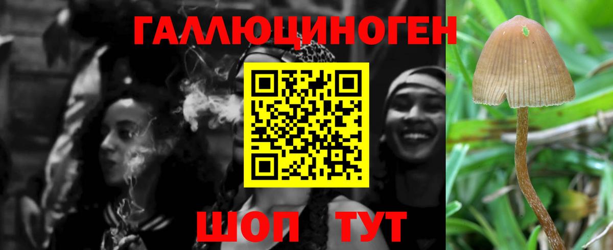Псилоцибиновые грибы Magic Shrooms Владимир